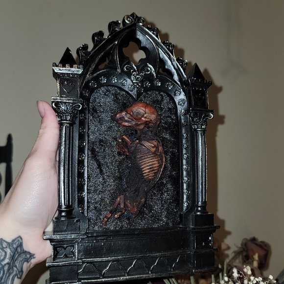 Gothic Mummified Piglet Display - Picture 4 of 6